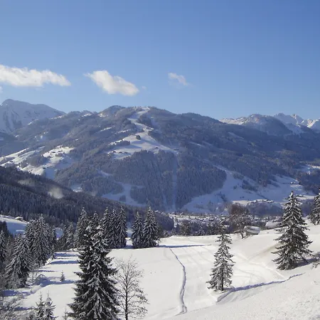 Naturhotel Edelweiss Hotel Wagrain