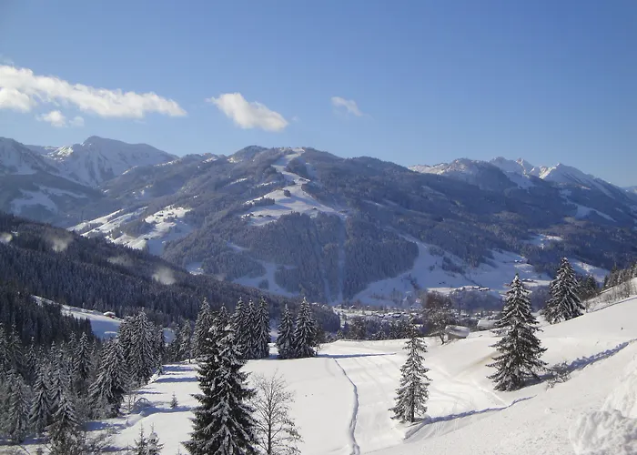 Naturhotel Edelweiss Hotel Wagrain